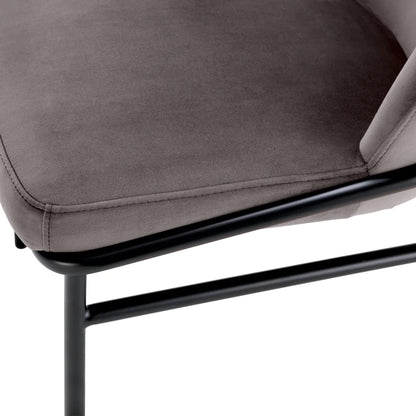 Dining Chair Willis set of 2 EICHHOLTZ